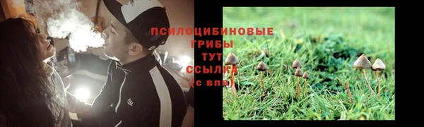 ПСИЛОЦИБИНОВЫЕ ГРИБЫ Алексин