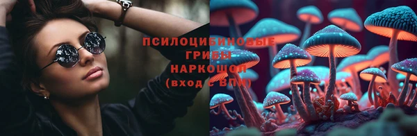 соль ск Алзамай