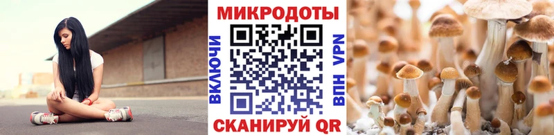 Галлюциногенные грибы прущие грибы  Боготол 